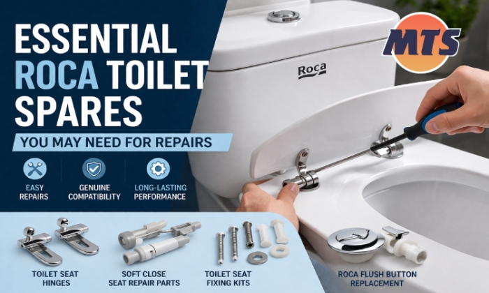 Roca toilet repairs