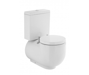 SANINDUSA WCA TOILET SEAT AND COVER WITH HINGES 2111100
