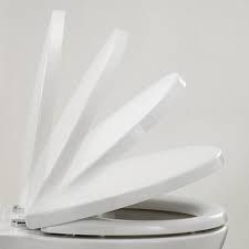 Armitage Shanks Lichfield Toilet Seat and Cover S4045- Replacement not original
