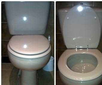 REPLACEMENT BELLAVISTA-CAPRI TOILET SEAT AND COVER WHITE  REPLICA