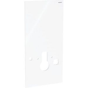 Geberit Front cladding  242.384.SI.1