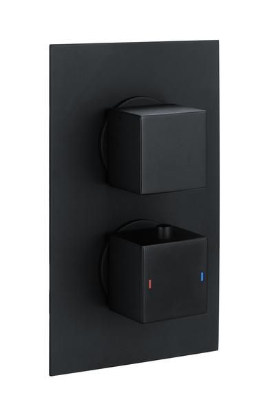 RAK Sq Dual Outlet, 2 Handle Therm Conc Shwr Valve RAKSHW3202SB Bathroomsuites