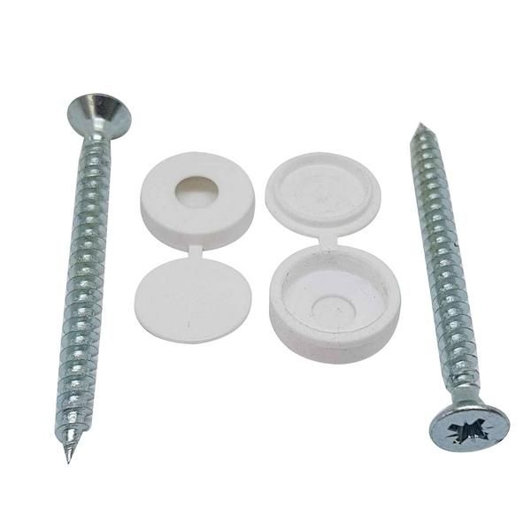 DOMEX PACK WHITE SCREW & PROCASTER PAIR