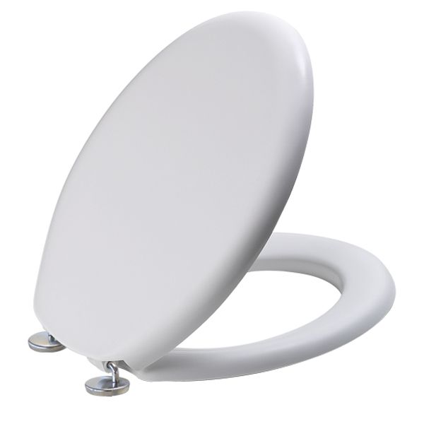 Saniplast Tango with stainless steel, adjustable and bottom fixing hinges 2FSE172102