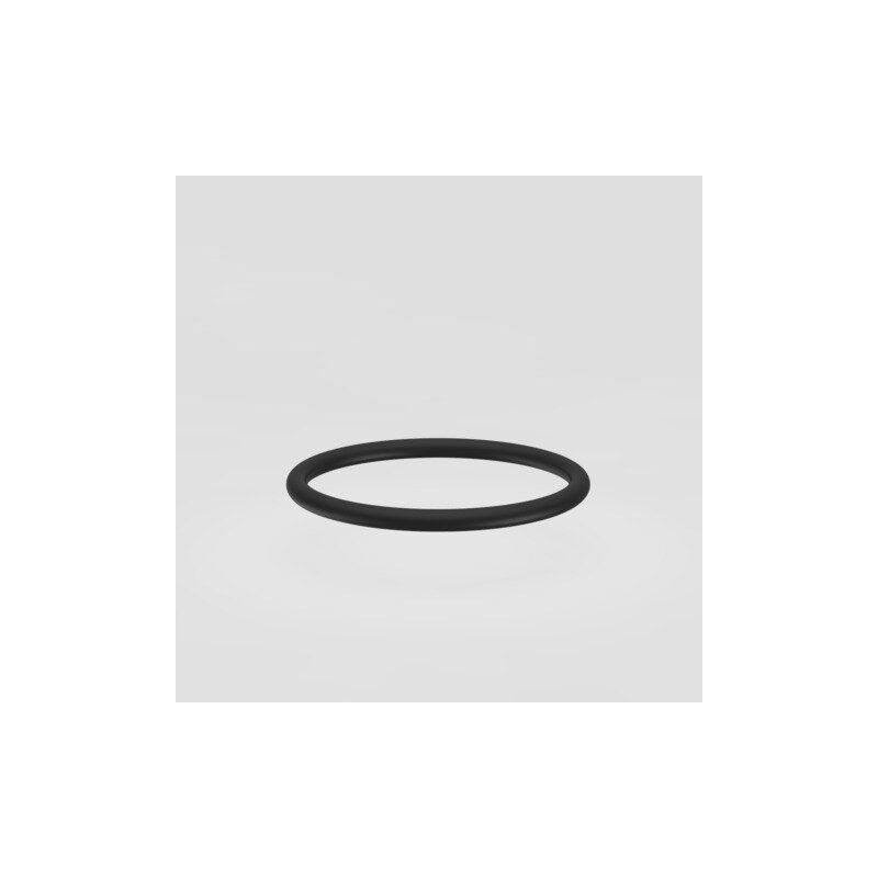 Sanit Villeroy and Boch 02.753.00..0000 Round ring for flush-mounted Cisterns cc120 + cc150 High-quality sealing ring for flush-mounted Cisterns cc120 and cc150 (49×6).