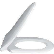 Villeroy & Boch Omnia Amica Toilet Seat & Cover Standard Close 9853.G1.01 