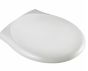 Carrara and Matta Real toilet seat with cover wrap hinges White/Stainless Steel 100580000