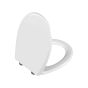 Vitra Universal Toilet Seat and cover with Fittings soft close 109-003-009 