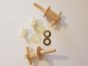 Twyford Capricorn Plastic Toilet Seat Hinges