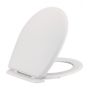 Standard Replacement Toilet Seat and Cover  ideal for most pans with Chrome Hinges