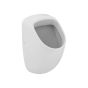 A/Shks E570101 Profile21 Rimmed BI Spreader