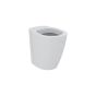 Ideal Standard  Concept Freedom raised height BTW WC bowl  E608801