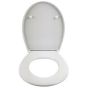 HARO PALLAS SoftClose toilet seat and lid stainless steel hinges Take Off  DISA0096