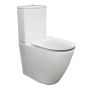 Parisi Envy MKII Replacement Toilet Seat Original Seat (NOT SAME AS NAHM PARISI)