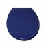 Rak Bella Care Blue Urea Toilet Seat and cover with stainless steel hinges to suit Bella Care toilet suite.