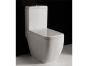 RAK Metropolitan  Toilet with Soft Close Seat  RAKSEAT016