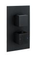 RAK Sq Dual Outlet, 2 Handle Therm Conc Shwr Valve RAKSHW3202SB Bathroomsuites