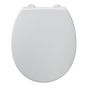 Armitage Shanks Contour 21 toilet seat and cover top fixing hinges S406501