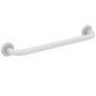 A/Shks S6454AC Con21 Str Grab Rail Wht 60cm