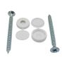 DOMEX PACK WHITE SCREW & PROCASTER PAIR