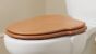 SANITANA-Grecia Toilet seat and cover Original Seat 5604173213950 Cherry colour