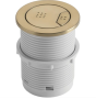 Wirquin Pneumatic Kara Dual Flush Button – Brass (50120768)