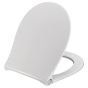 Toilet seat with soft close and lift-off incl. hinge in stainless steel