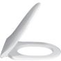 Villeroy & Boch Omnia Amica Toilet Seat & Cover Standard Close 9853.G1.01 