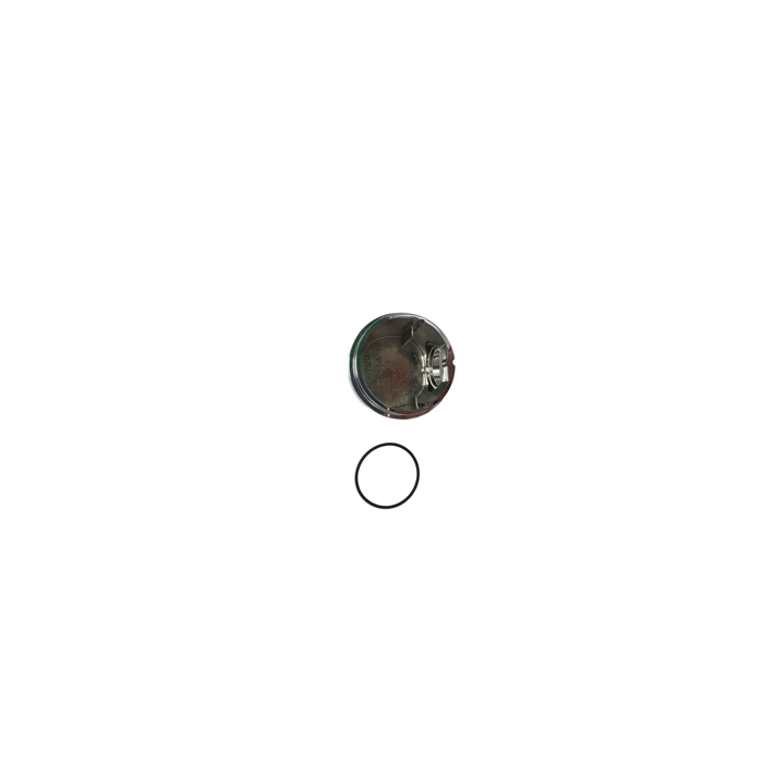 Ideal Standard Cover Cap With Laser & O Ring A861524AA