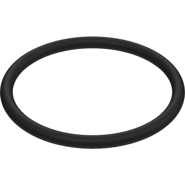 FLUSH VALVE HOLDER O-RING BG0033