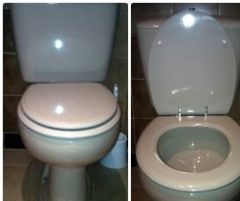 REPLACEMENT BELLAVISTA-CAPRI TOILET SEAT AND COVER WHITE  REPLICA