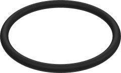 FLUSH VALVE HOLDER O-RING BG0033