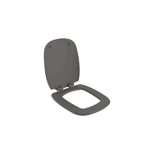 BOCCHI Fenice Toilet Seat  Soft Close  Anthracite A0327-020