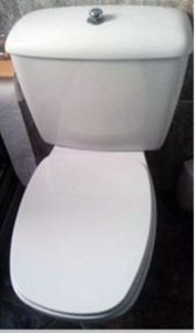 Diana Original Original Toilet seat and Cover  Gala