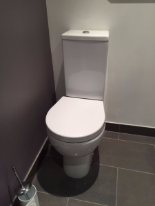 Esedra Poing Soft-Close Toilet Seat and Cover with all the fittings MO6105W