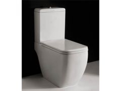 RAK Metropolitan  Toilet with Soft Close Seat  RAKSEAT016