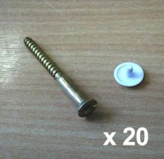 DOMEX SCREWS WHITE BAG OF 10            