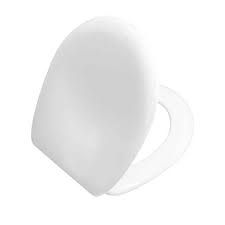 Vitra Norm Toilet Seat and cover with Hinges fittings White 70-003-002 