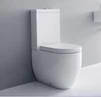 WC-CD Kerasan Flo 311,701 Seat and Cover with Hinges