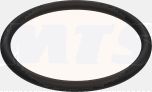 FLUSH VALVE HOLDER O-RING BG0033
