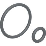 Geberit 242.176.00.1 Set of O-rings for spray arm, for Geberit AquaClean Sela (up to year of manufacture 2018) / 4000 (2 pc.)