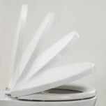 Toilet seat and Cover Armitage Shanks replacement Georgia/Isabella Toilet seat S4045 White Code under toilet cistern lid H/M1733