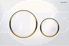 Geberit Flush Plate 115.882.KK.1