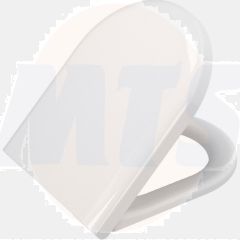 Vitra Disabled Toilet Seat and Cover with fittings 85-003-509