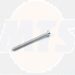Trevi Therm Screw oval head M4 x 50 A918434AA