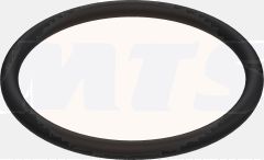 FLUSH VALVE HOLDER O-RING BG0033