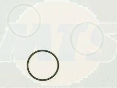 Blanco 117342 Blanco Set of plastic rings 00117342