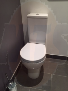 Esedra Poing Soft-Close Toilet Seat and Cover with all the fittings MO6105W