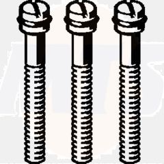 Viega screw set 632687 M5 x 30 mm, stainless steel (6961.94)