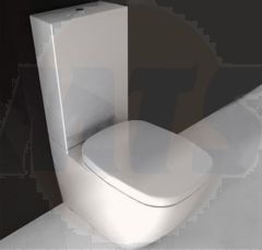 PARISI DIAL TOILET SEAT AND COVER WITH HINGES